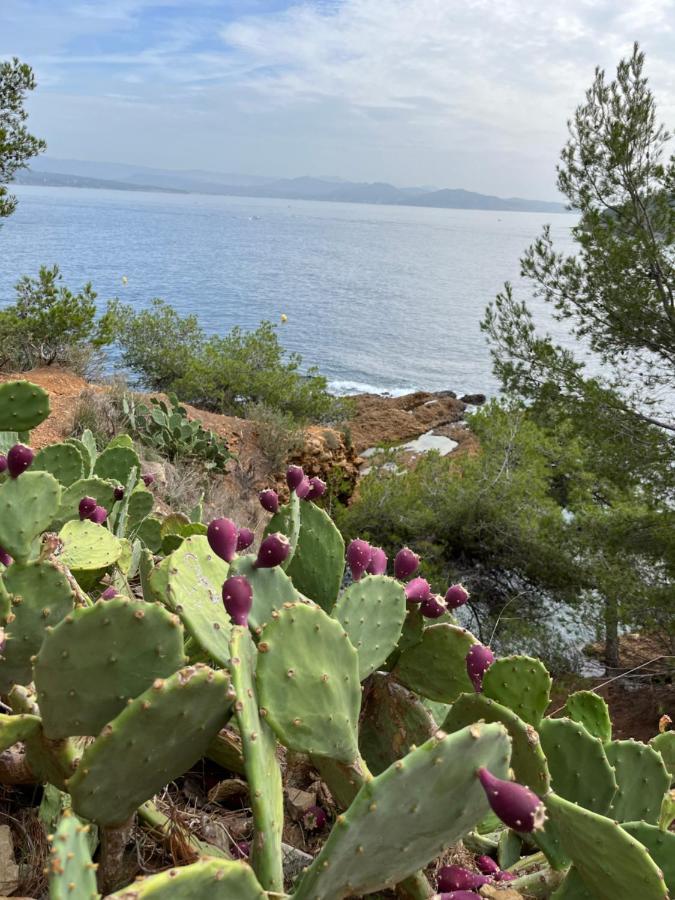 La Ciotat Vieux Port 2 Daire Dış mekan fotoğraf